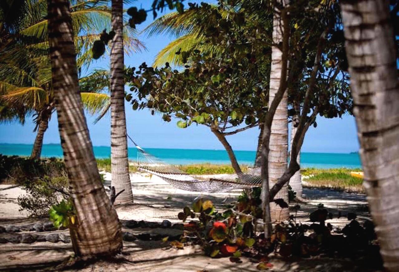 ホテル Kamalame Cay Staniard Creek エクステリア 写真